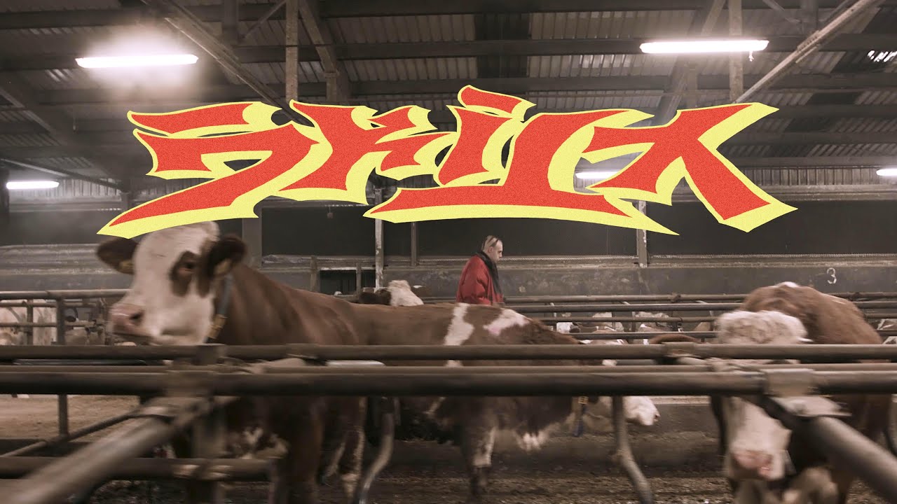 Rohony – SKITA