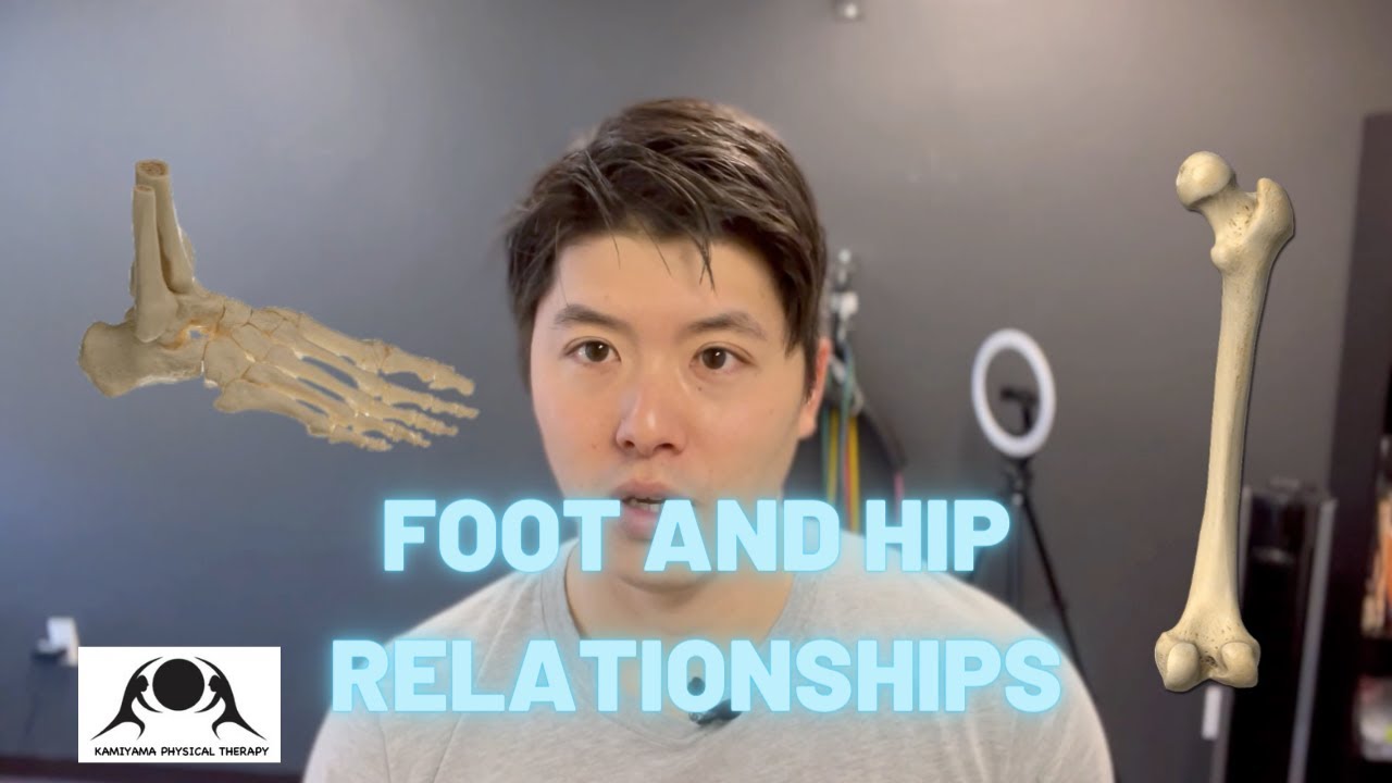 Foot and Hip Integration: Pronation and Supination effect on the Femur