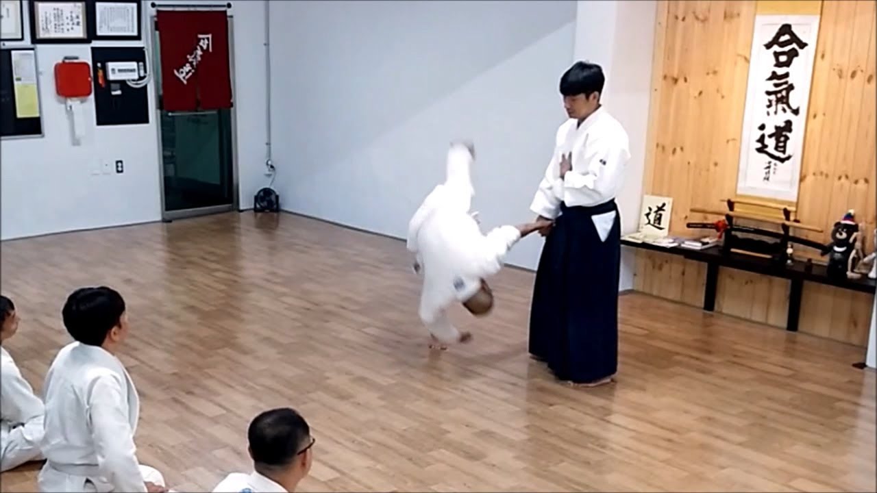 [Aikido Incheon, Samsungdang] 180623 