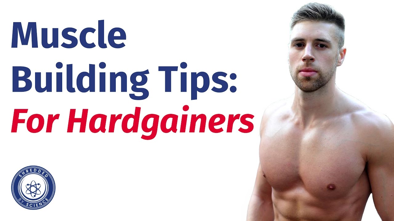 Muscle Building Tips For Hardgainers: 5 how to build muscle tips