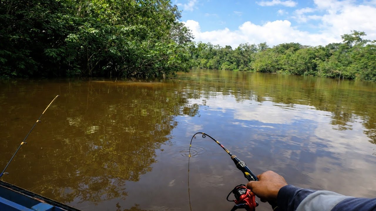 Saya Mancing Udang Galah,Spot hulu Sungai.