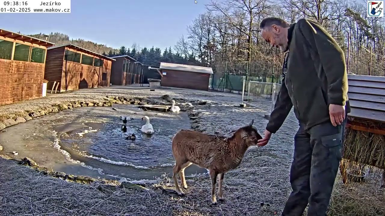Stěhování kamery od labutího jezírka k vydrýskovi Matýskovi