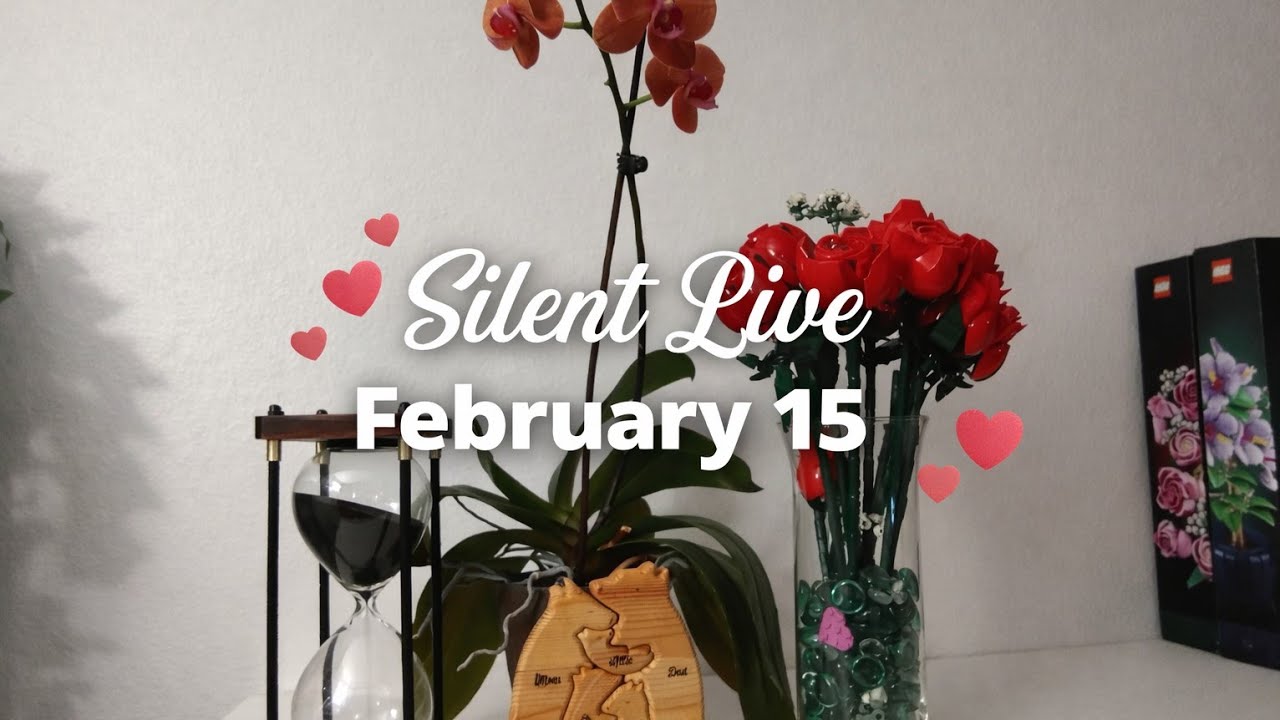 Silent Indoor Live 🌸 February 15 | Calm & Muted Vibes