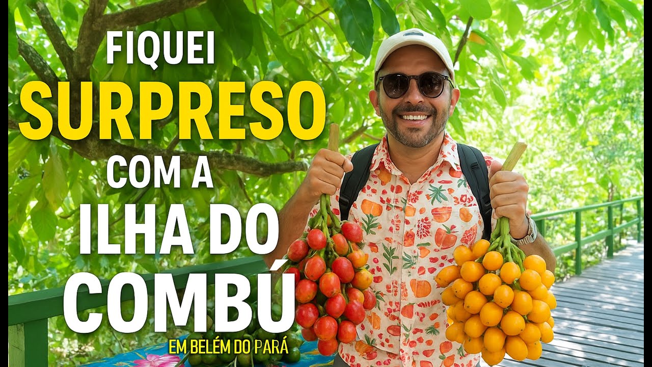 O QUE FAZER NA ILHA DO COMBÚ EM BELÉM.