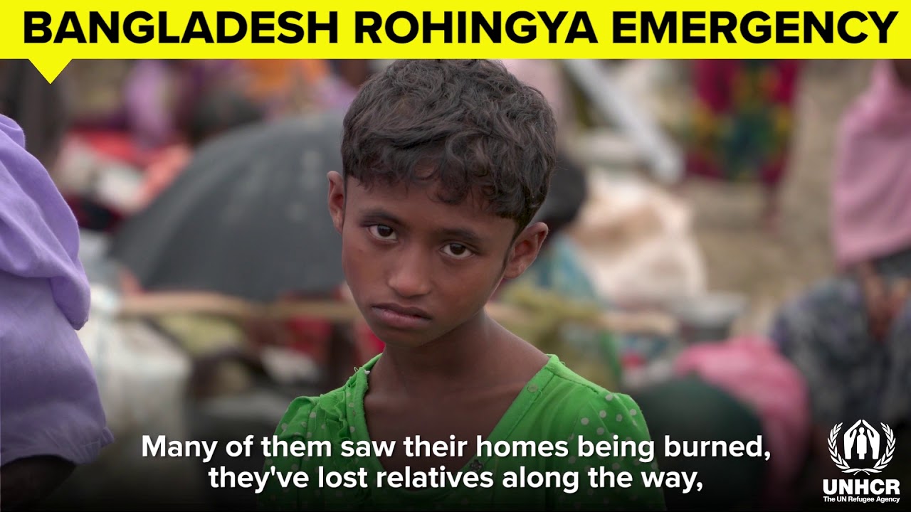 Rohingya Refugee Crisis - Update from the field