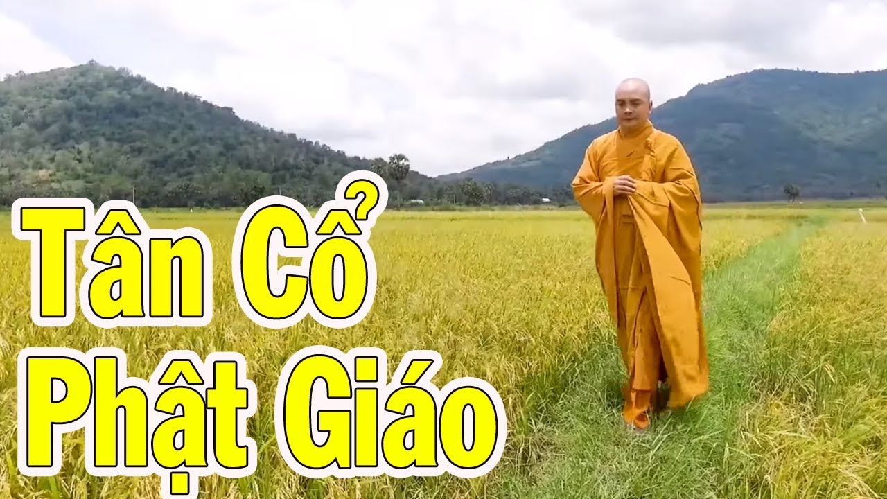 TÂN CỔ HƠI DÀI NHƯNG DỄ NGHE | CA CỔ PHẬT GIÁO THÍCH NGHIÊM BÌNH | TÂN CỔ CẢI LƯƠNG HAY NHẤT