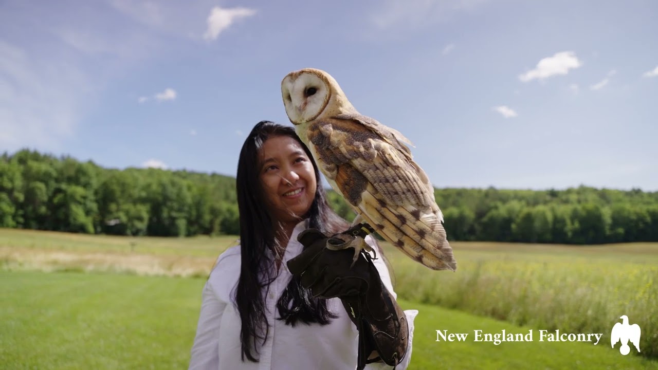 Woodstock Inn & Resort — Four Season Destination