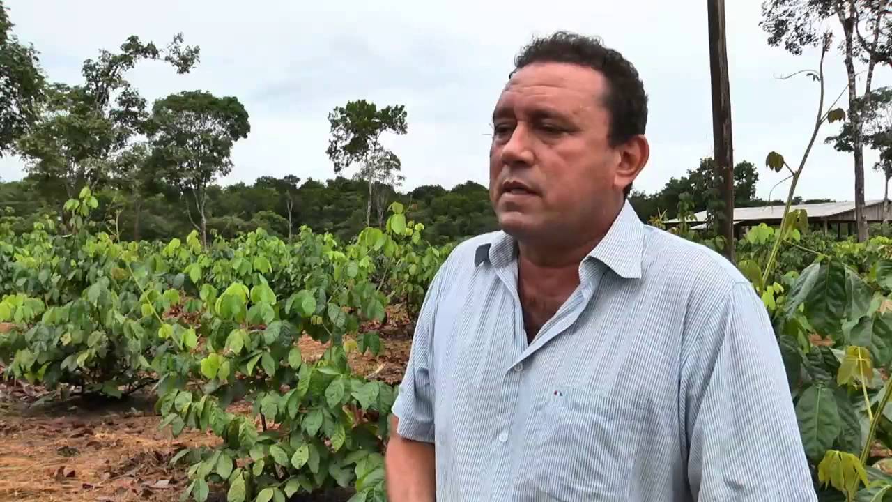 Amazônia Rural l Plantio do Guaraná l Parte 2