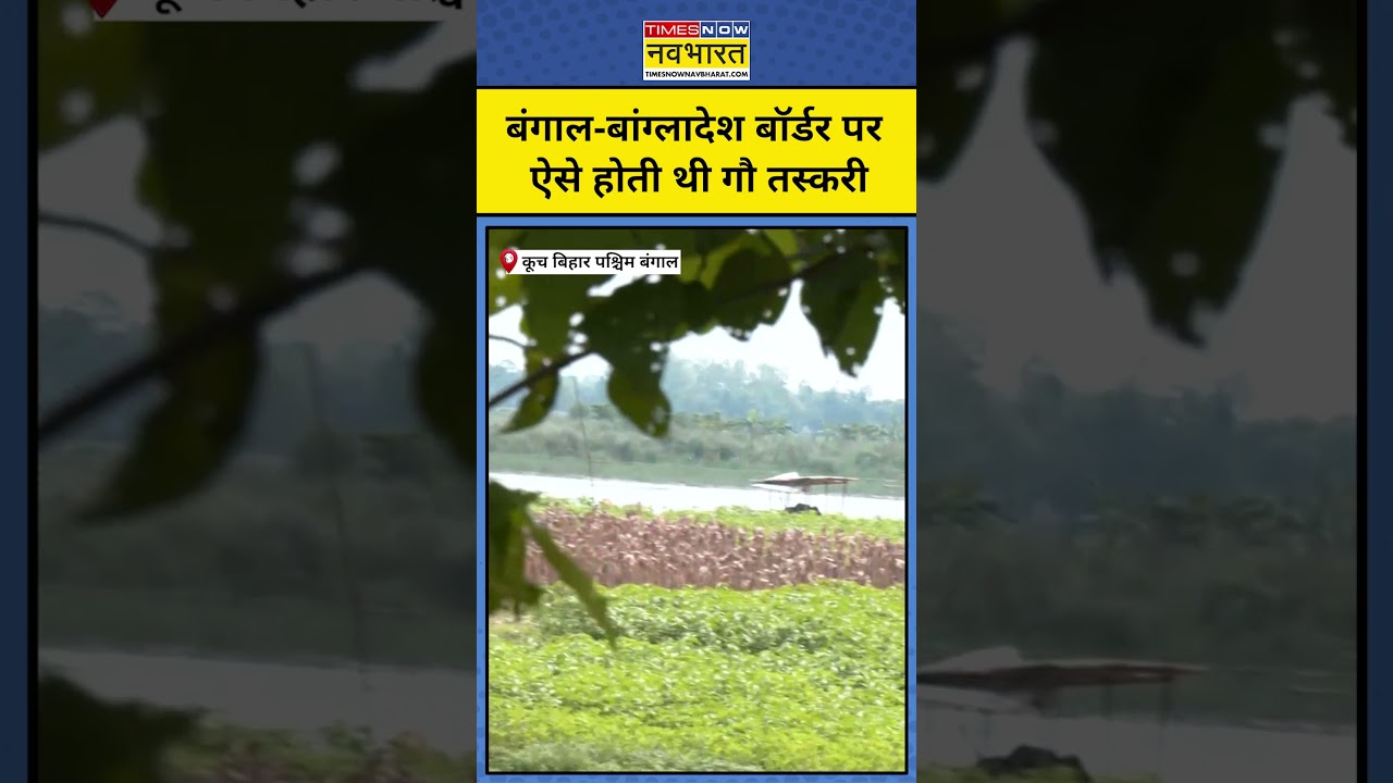 West Bengal News : India Bangladesh Border पर चौंकाने वाला खुलासा ! #shorts #ytshorts #bjp #bsf