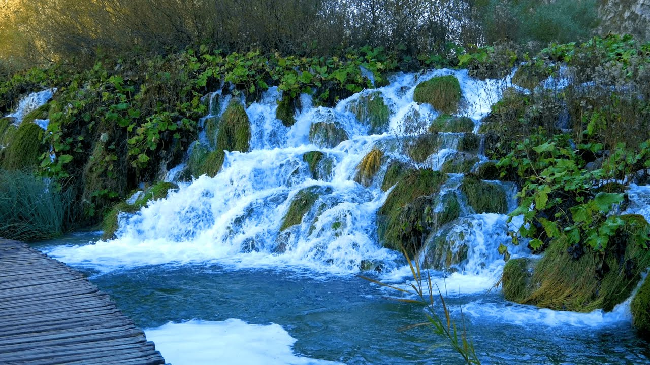 River Flowing through Lush with Waterfalls. Nature Sounds Waterfall Stream. White Noise for Sleeping