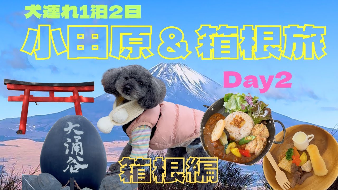 わんこと1泊2日の小田原・箱根旅行！（箱根編）