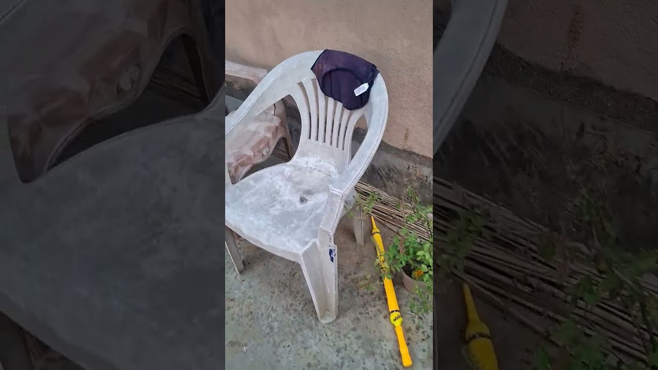 গ্রীষ্মের শুরুতেই ছাদ বাগান আমার ফুল আর সবজিতে ভরে গেছে ☘️🍀✅✅❤️❤️🥰