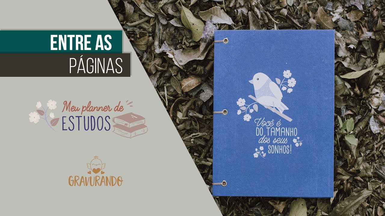 Video Planner de Estudos