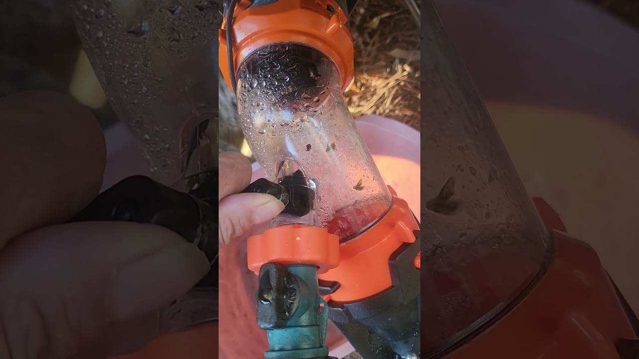 Flojet 18555 Macerator Waste pump with RHINO 45 degree elbow review        ( back flush process )