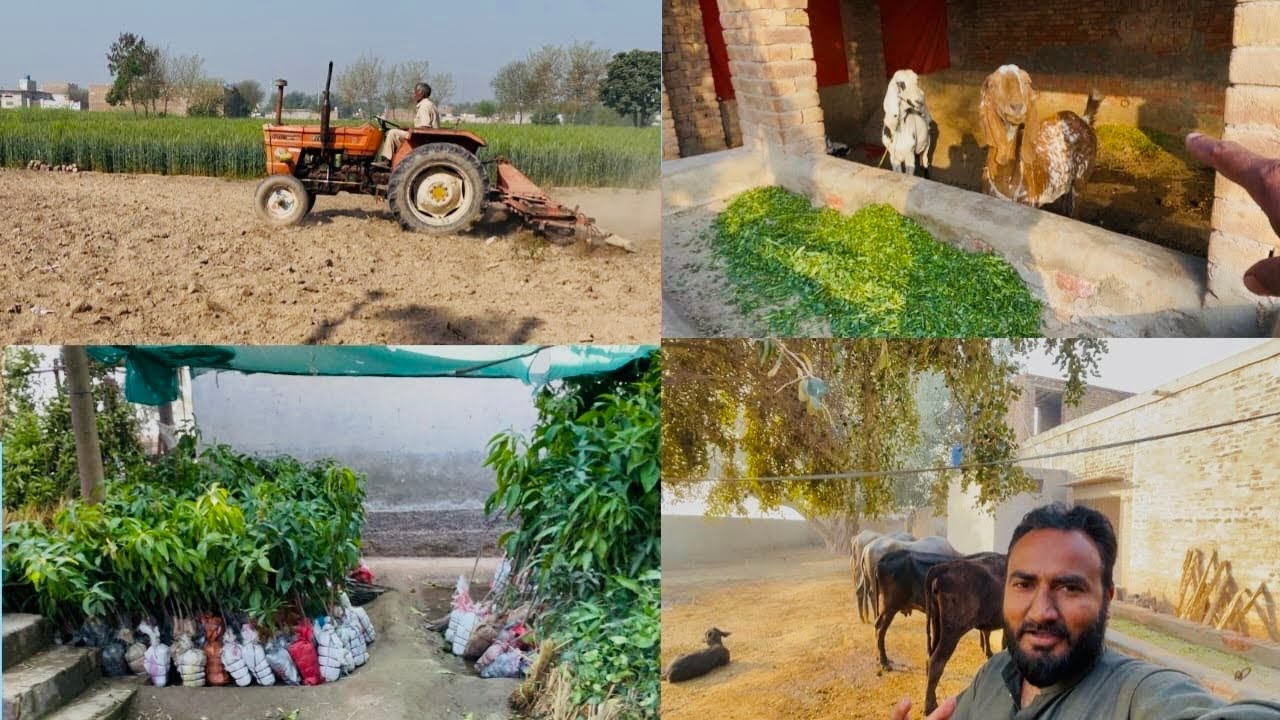 Rozay Mein Mushkil Kaam Karna Par Gaya 😓 | Ramadan Vlog | Aaj Ka Din Kaisa Guzra AZ Village Vibes 