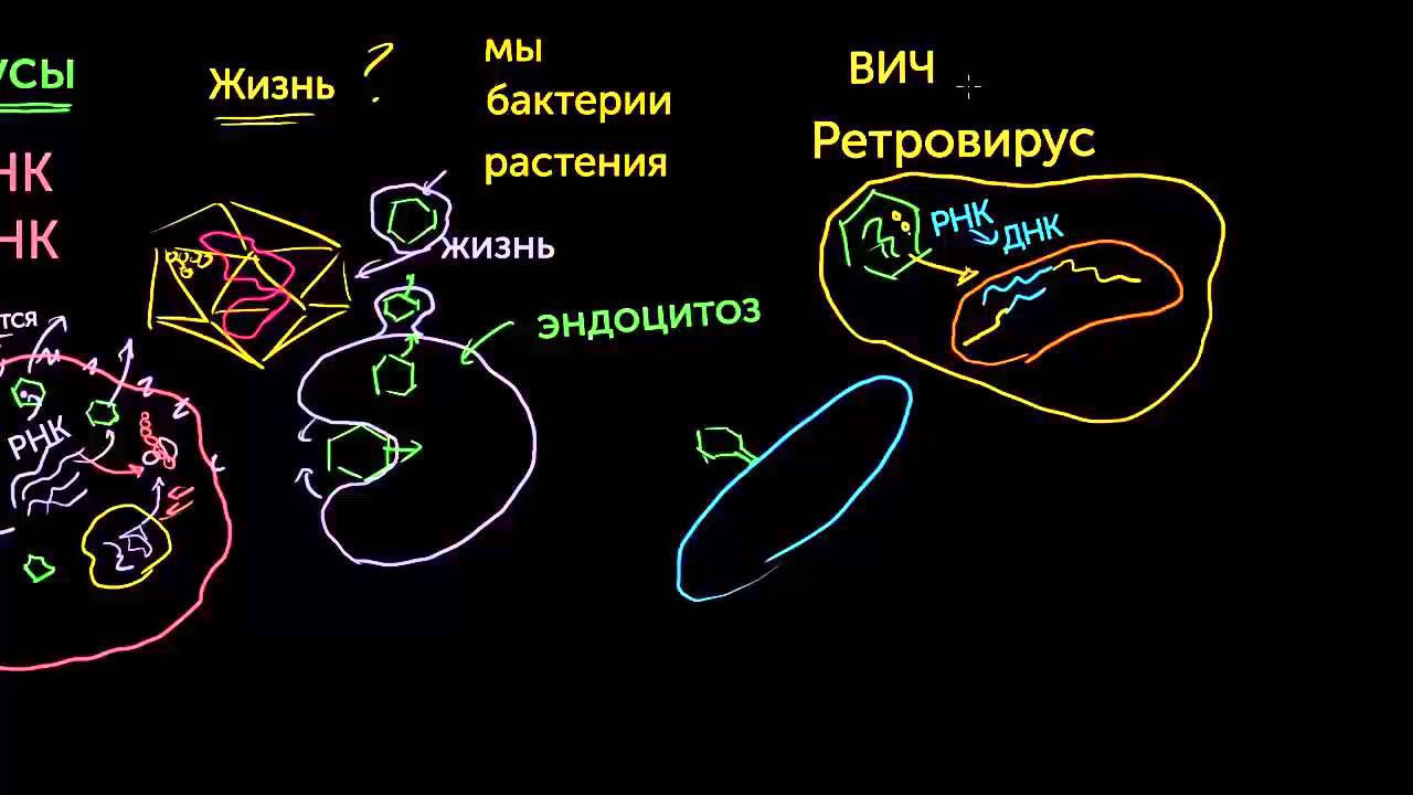Вирустар