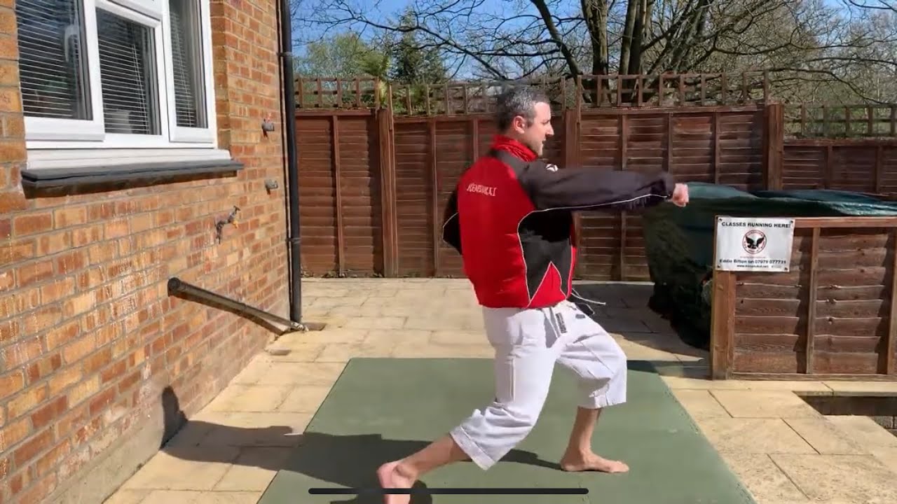 Karate workout classic punches Lunge Punch, Reverse Punch #KenshukaiKarate Training and Fitness #5