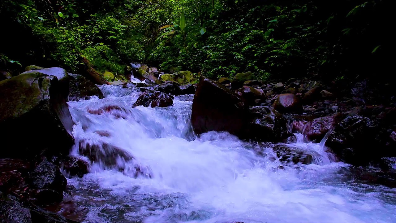 Mountain River Peaceful Waters | Natural Flowing Water Sounds for Deep Sleep and Relaxation