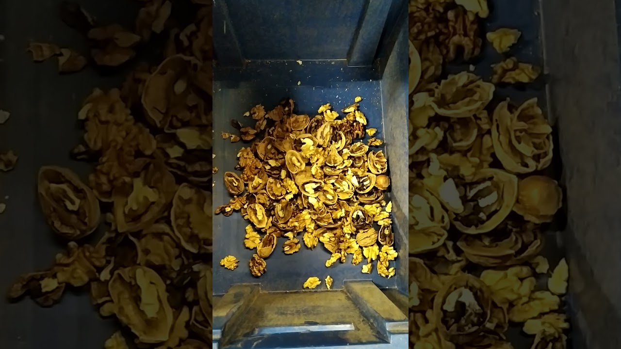 Cassage WAL MAN Motorisée NOIX