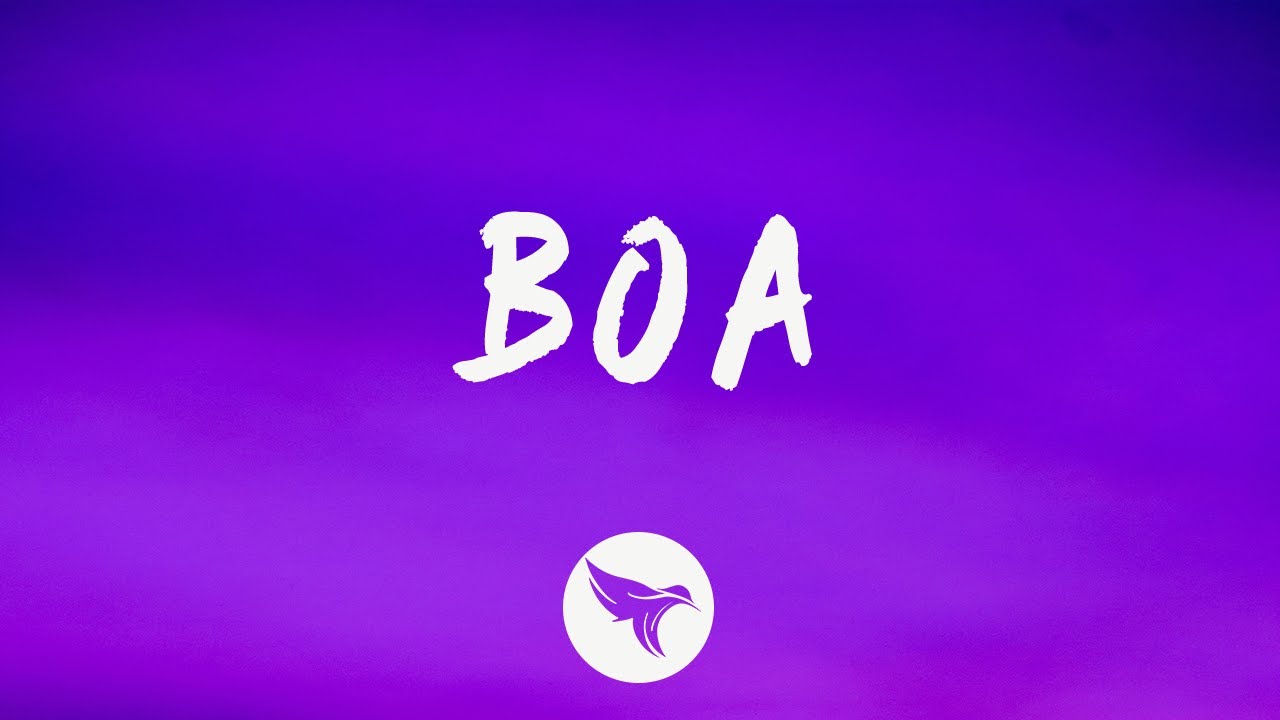 Megan Thee Stallion - BOA (Lyrics)