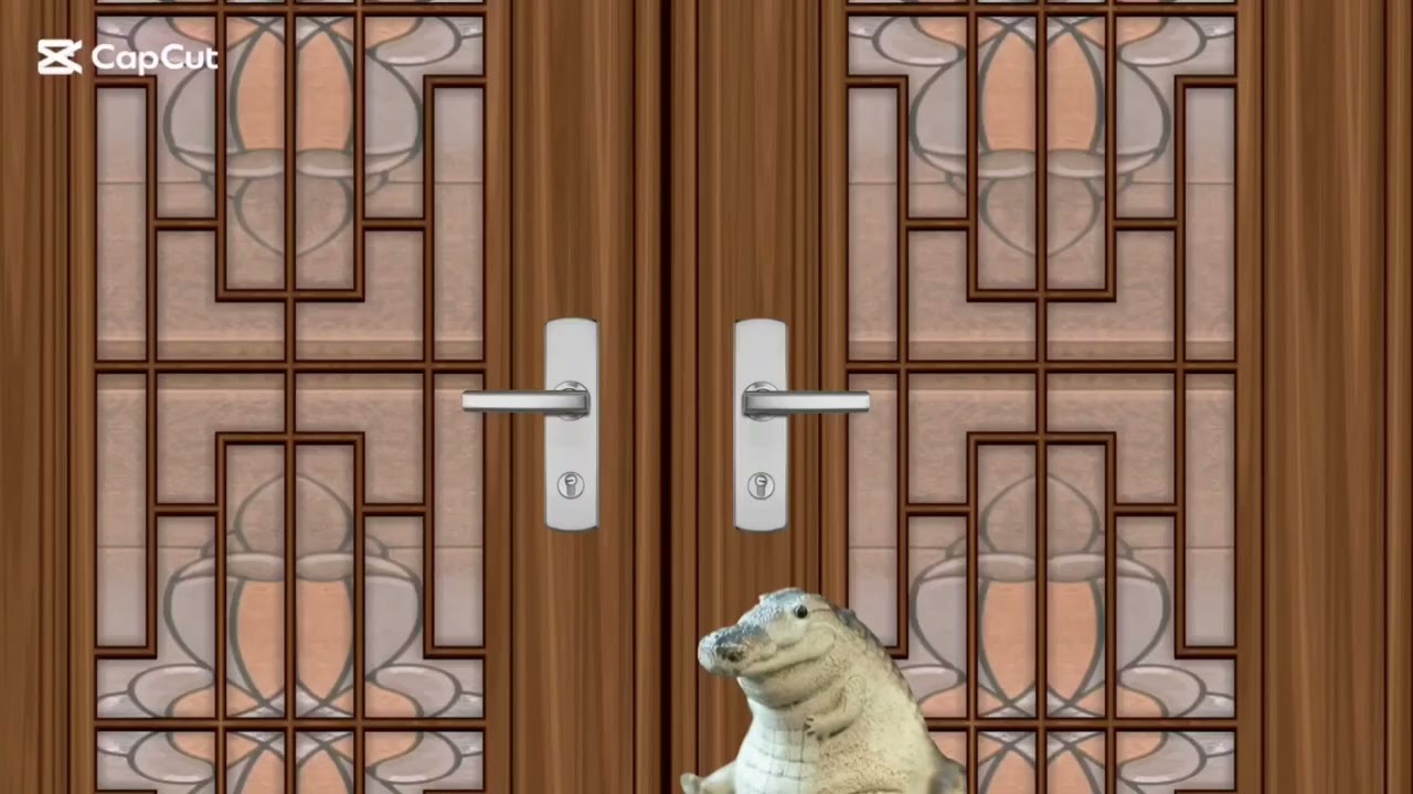 Estoy tocando la puerta hace 4 horas😔