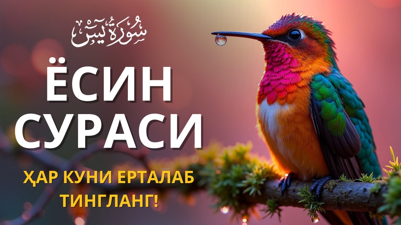 ЁСИН СУРАСИ - Узбек тилида! Ясин сураси - ҲАР КУНИ ЕРТАЛАБ ТИНГЛАНГ! Узбекча дуолар /Тонги дуо