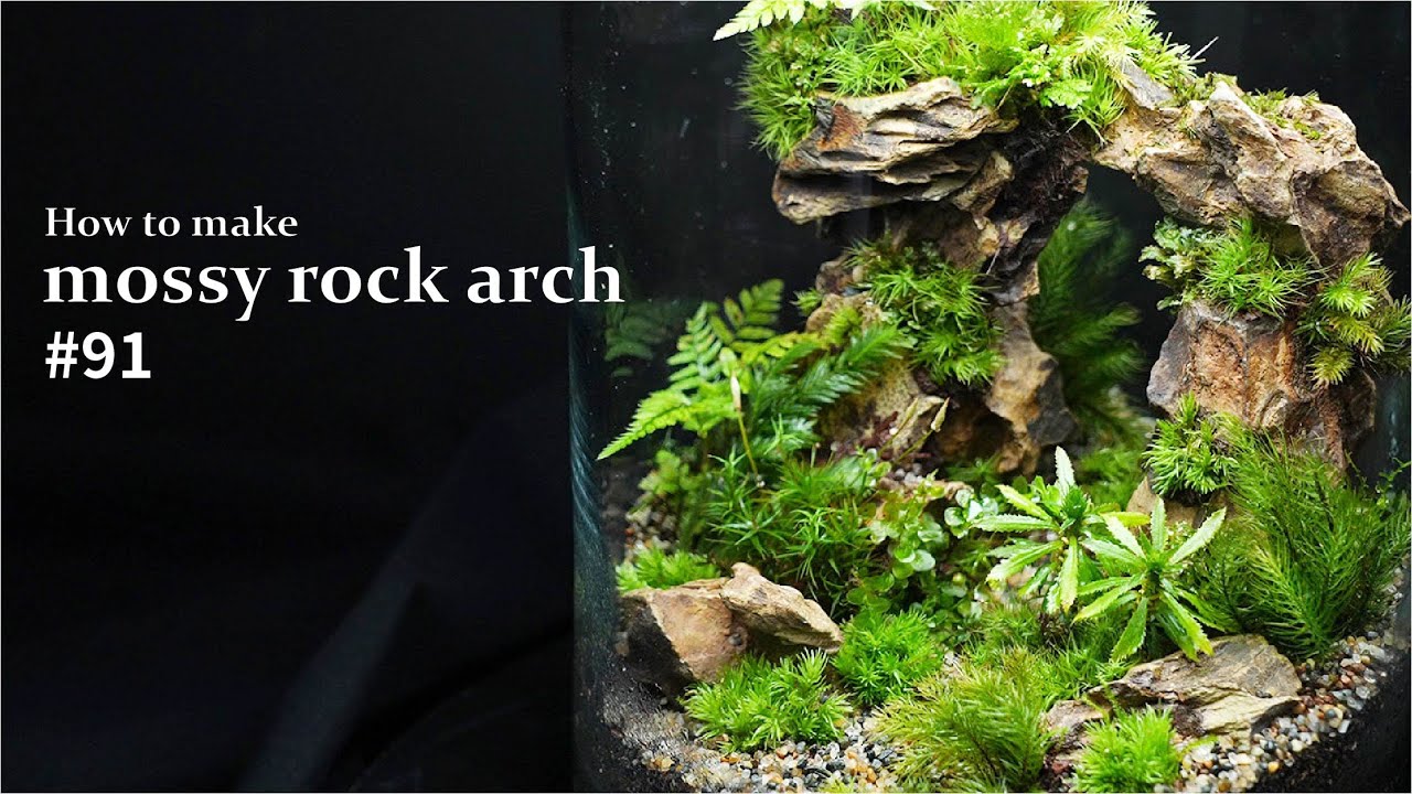 苔むす石のアーチをつくる【苔テラリウムの作り方】#91
