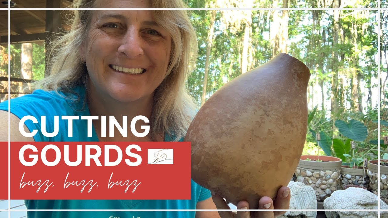 CUTTING GOURDS // Otter Cottage Arts // Gourd TV