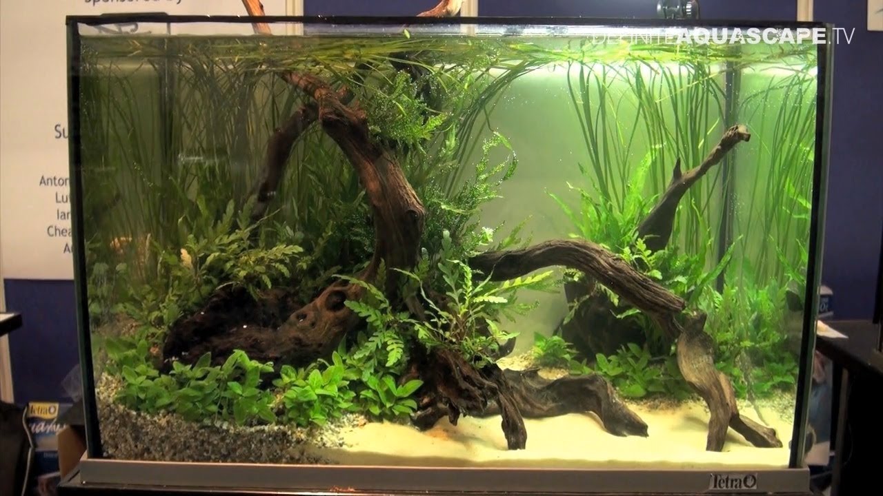 Aquascaping - Aquarium Ideas from Aquatics Live 2012, part 4