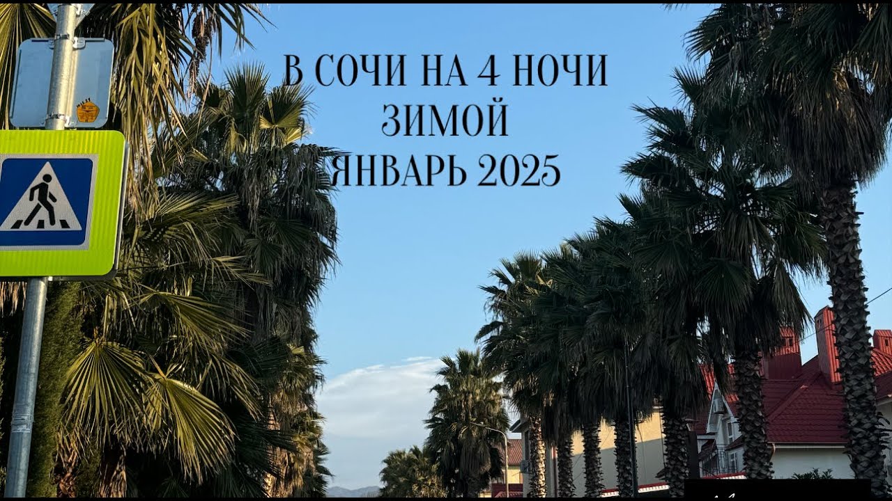 Адлер, Имеретинка зимой. январь 2025. Отель гамма Сириус. Прогулка по Сочи 🌊 Мантера. Мандарин.🍊