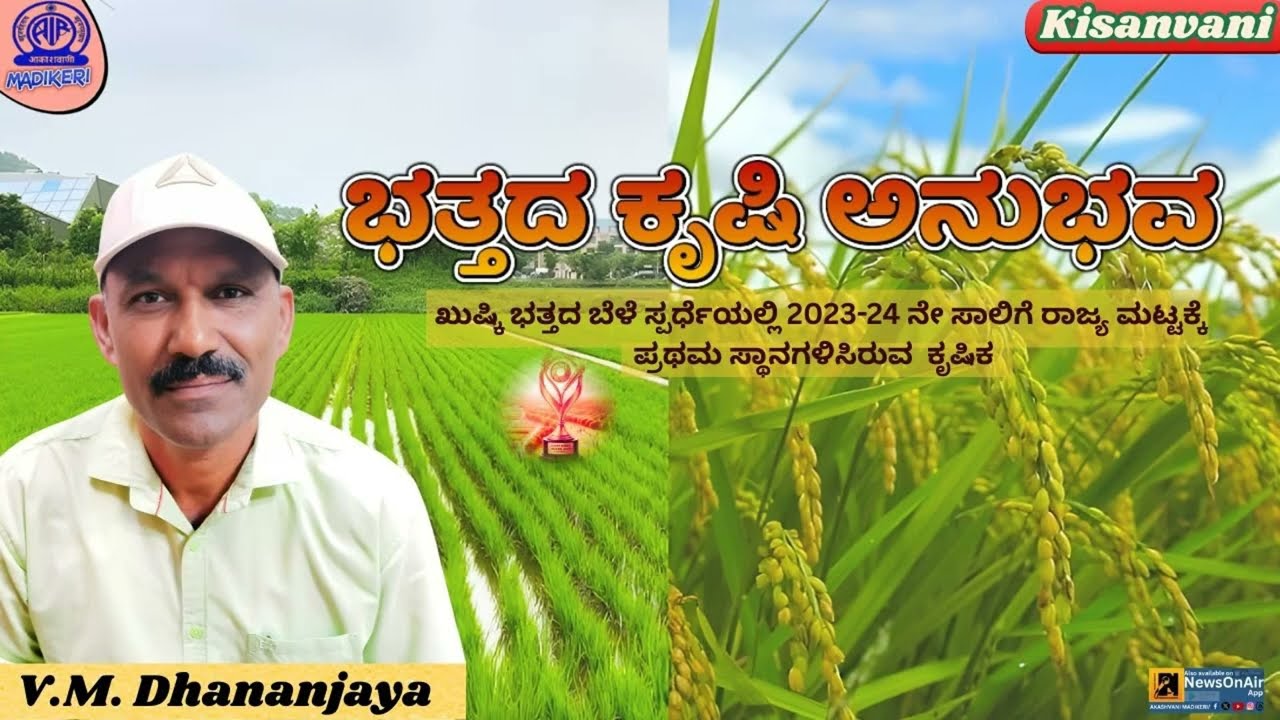 KISANVANI | PADDY CULTIVATION | V.M.DHANANJAYA