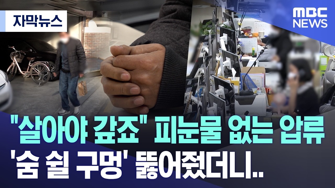 [자막뉴스] 