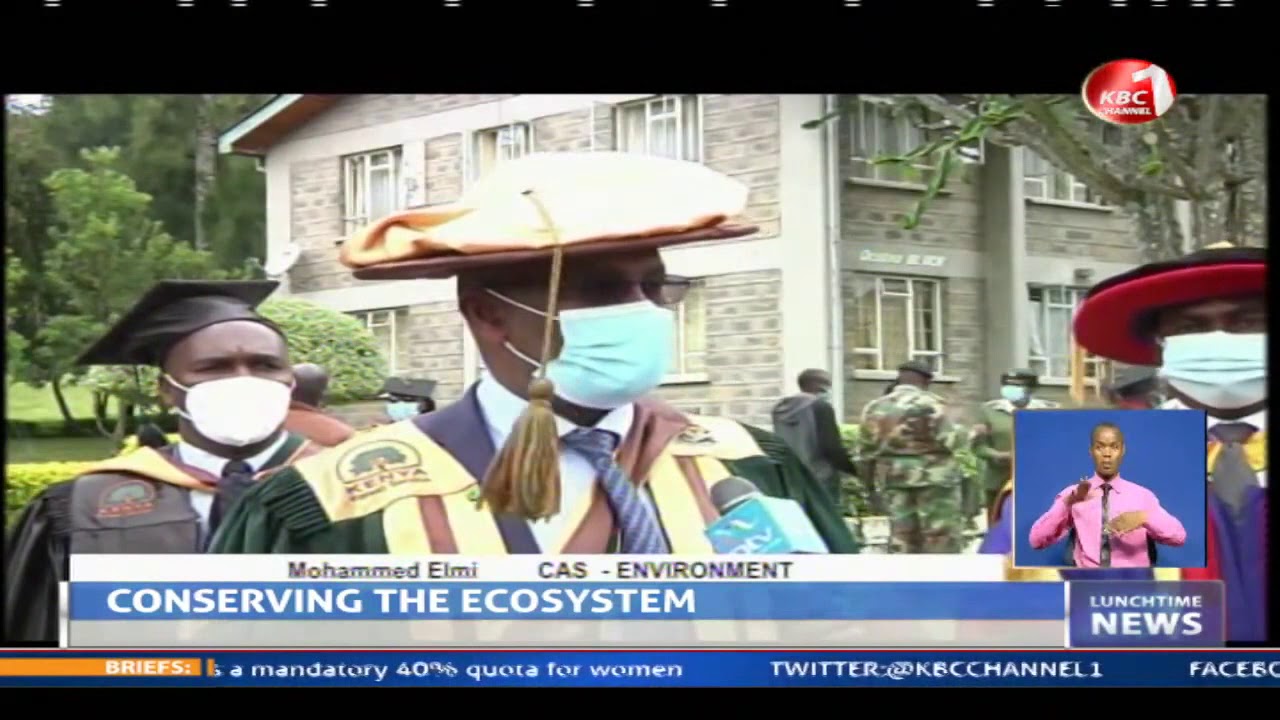 KFS deploys enough rangers in public forest