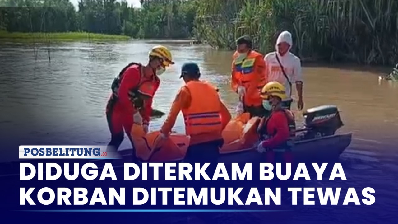 Diduga Diterkam Buaya, Jauhari Ditemukan Meninggal Dunia