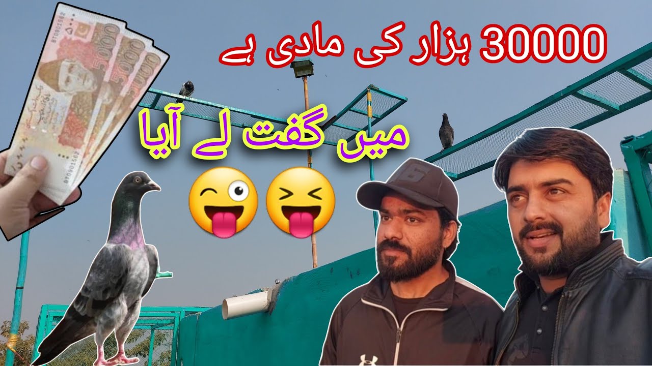 sami rajpoot sy gift aya #skypigeons