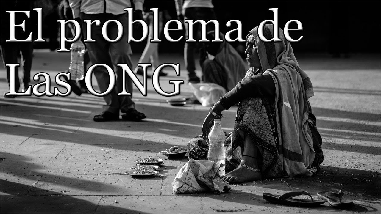¿La verdad de las ONG? ¿El problema de las ONG?