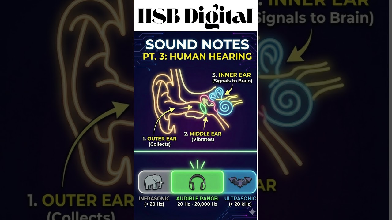 Class 8 Science | Chapter 13 | Sound 