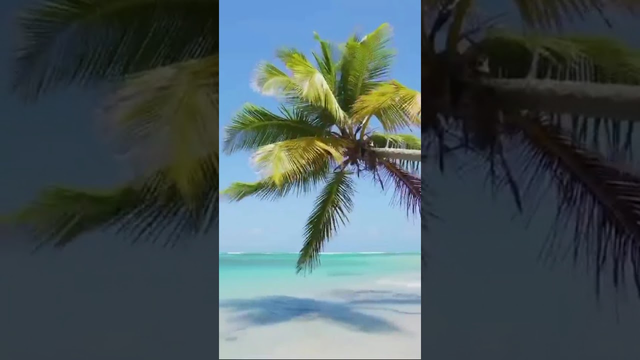 Lubie te poranki