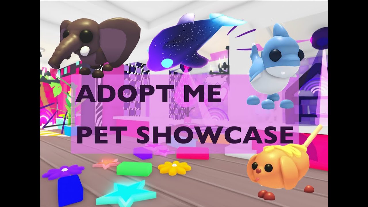 LEG ADOPT ME PET SHOWCASE | I think Bat Dragons are ugly...