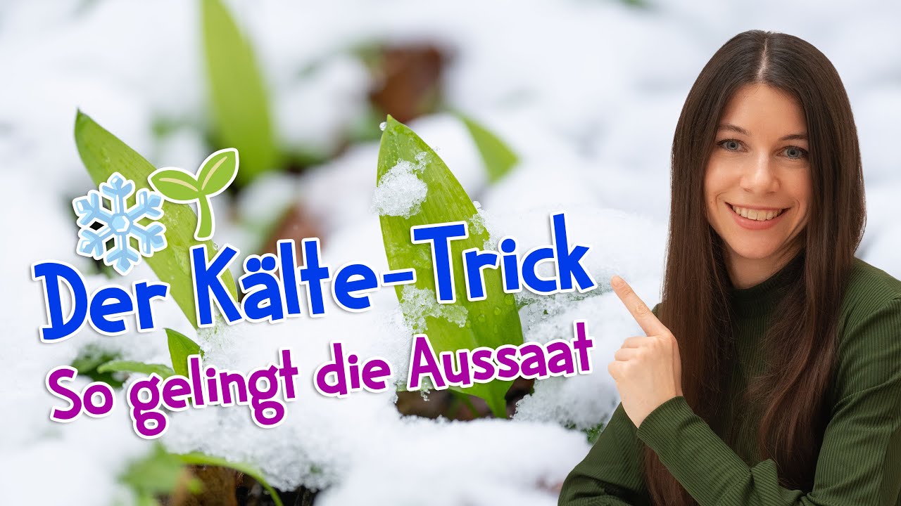 Der Kälte-Trick für Pflanzen: So gelingt die Aussaat perfekt! 🌱❄️ #garten #wildkräuter