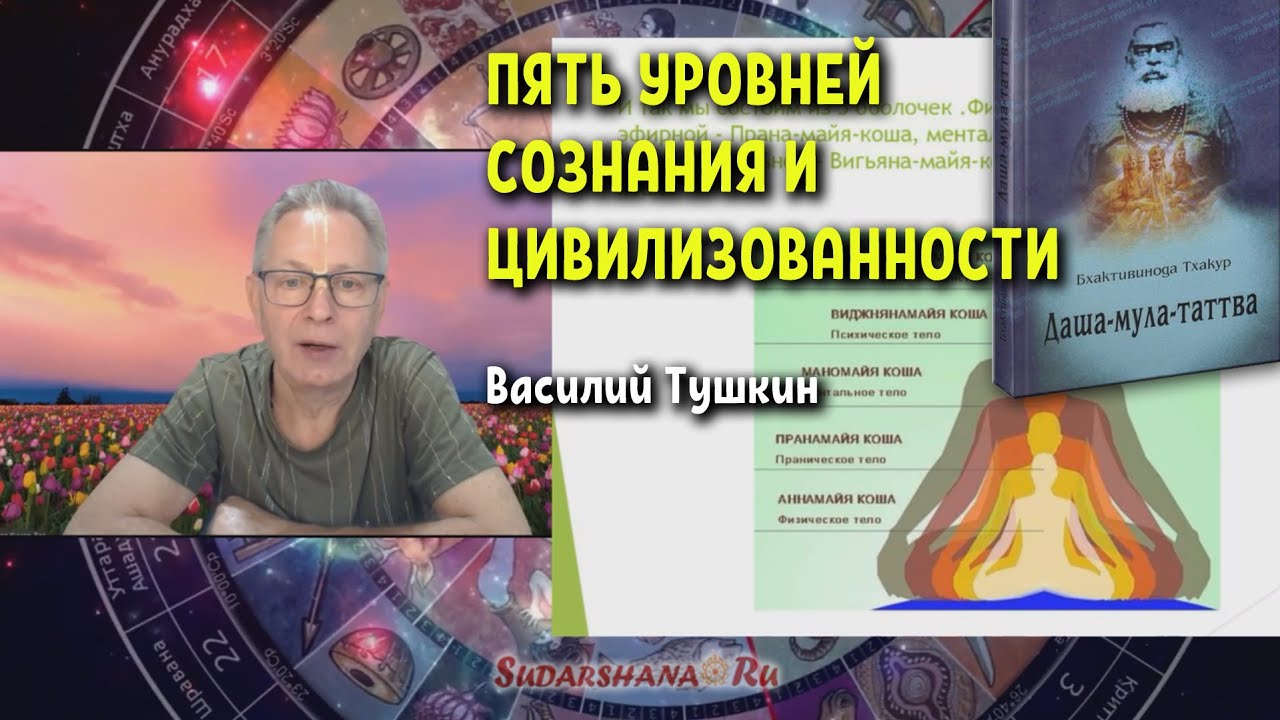 Пять уровней сознания и цивилизованности - Василий Тушкин
