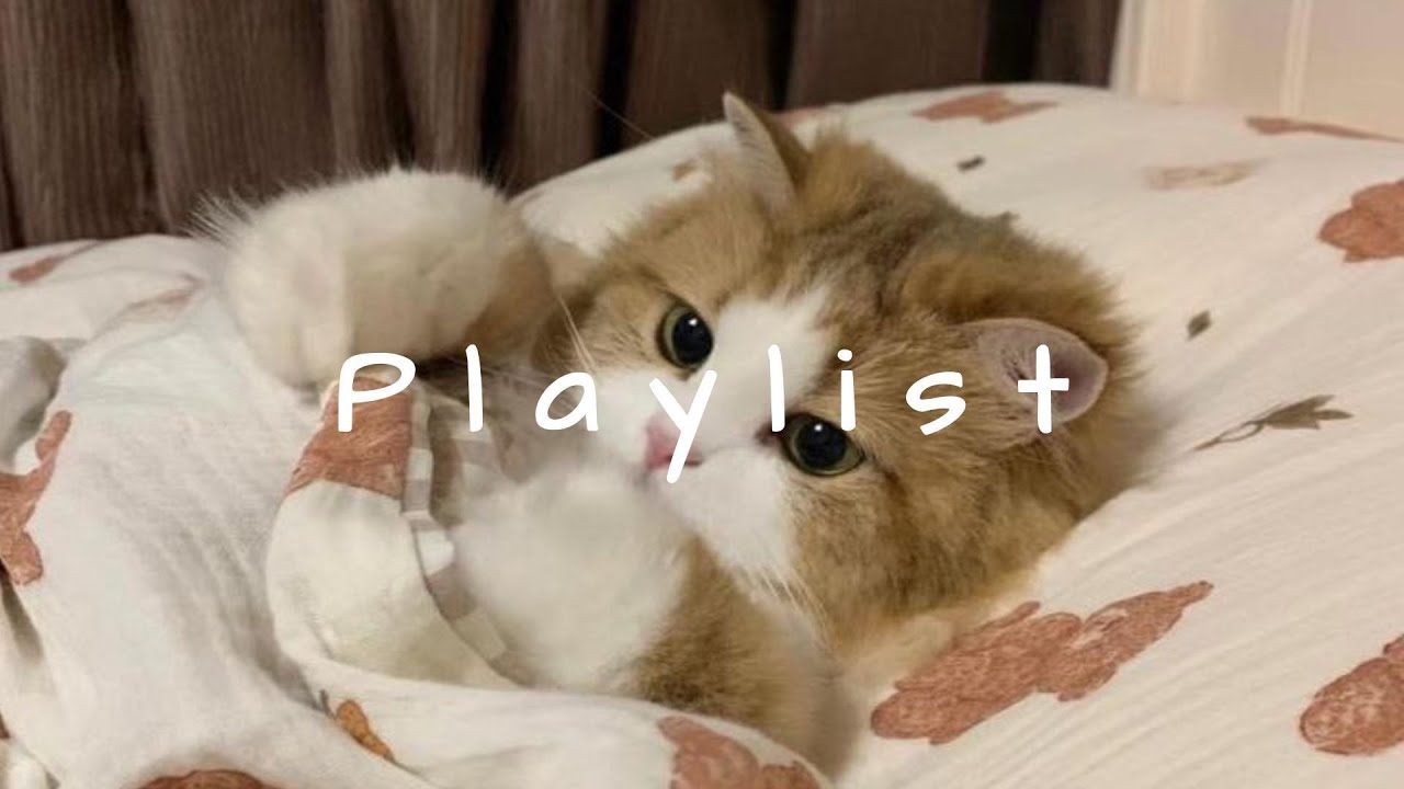 𝐏𝐥𝐚𝐲𝐥𝐢𝐬𝐭 릴스 감성 한 스푼 넣은 느낌 좋은 노래들 🤍🎧 | chill r&b · study & relax