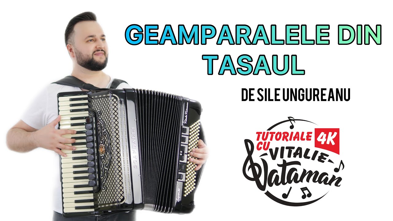Vitalie Vataman - Geamparalele din Tasaul de Sile Ungureanu