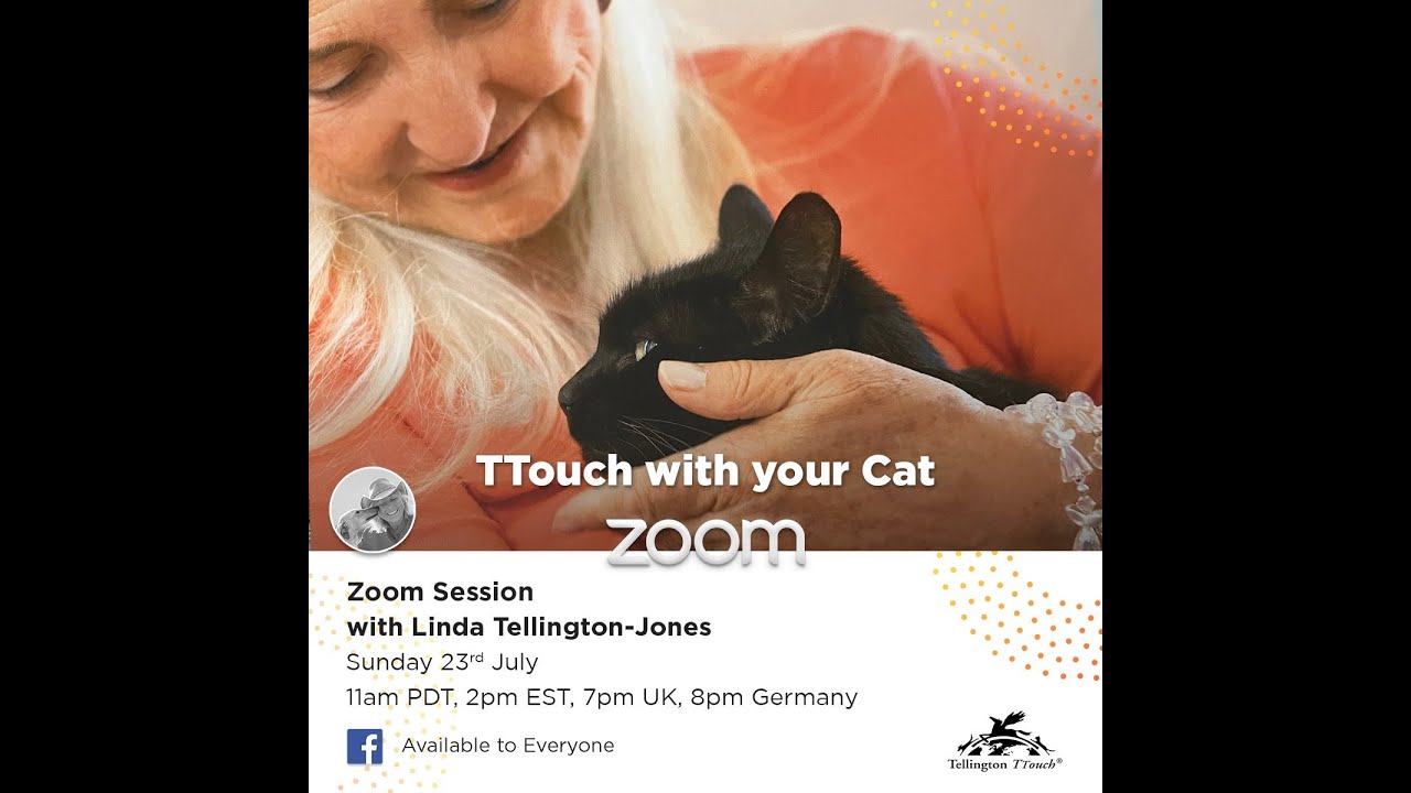 TTouch for Cats!