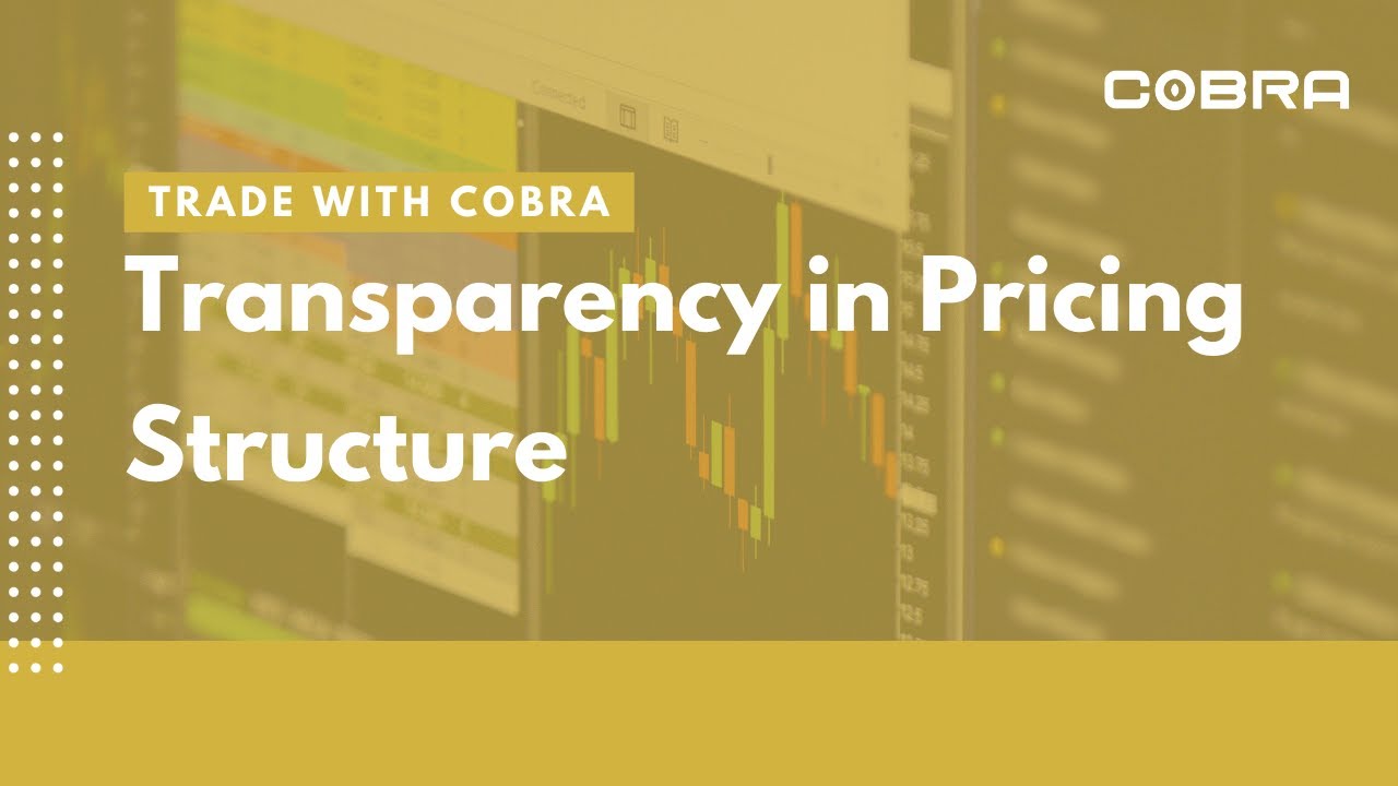 STOP Hidden Fees - Our Transparent Pricing Explained