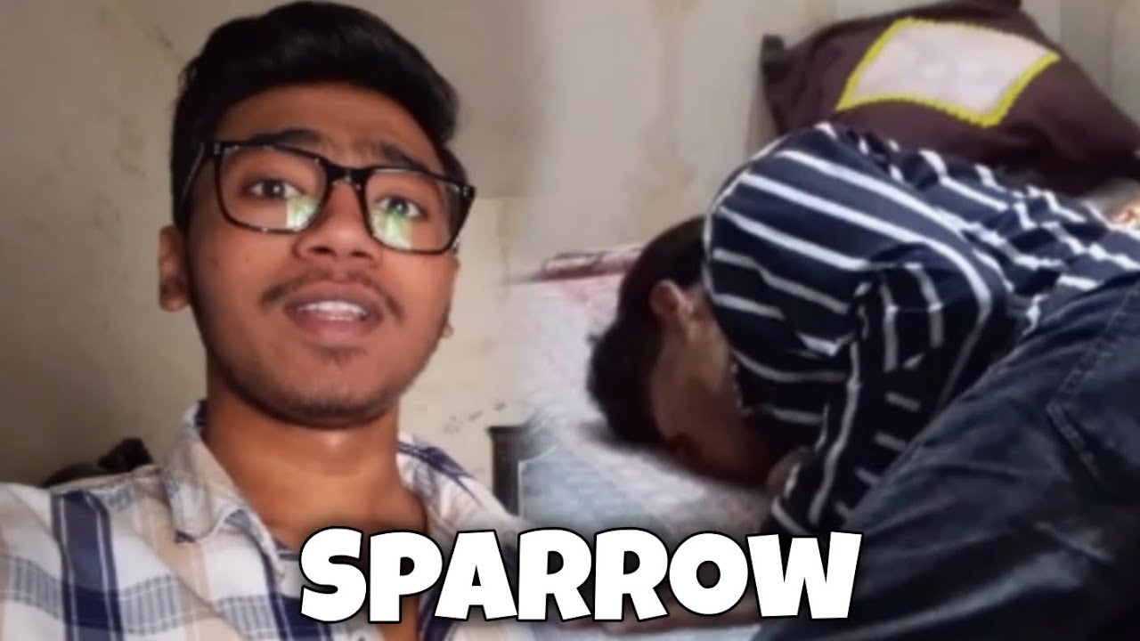 Sparrow kya kar Raha ha ?? |Day 74|
