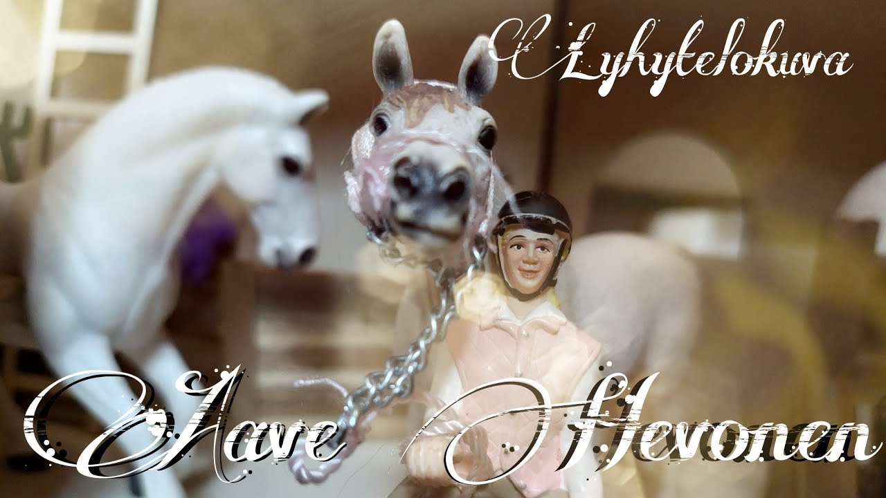 LYHYTELOKUVA - AAVE HEVONEN