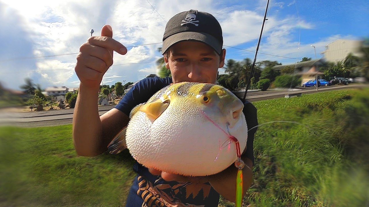 C'EST UN POISSON OU UN BALLON ?? Street-fishing en Guyane 1/2