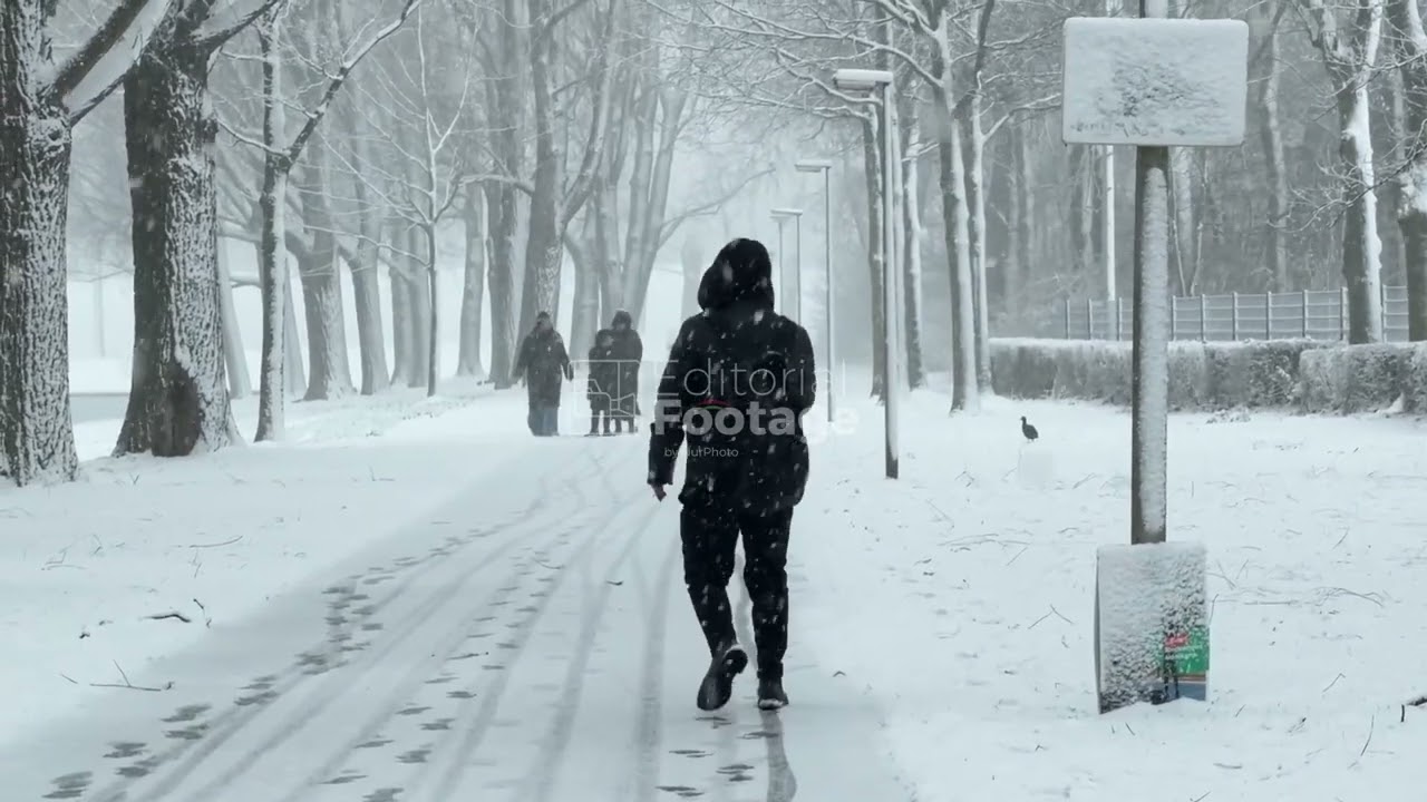 Winter Snowfall Affects the Netherlands - 03/01/2026