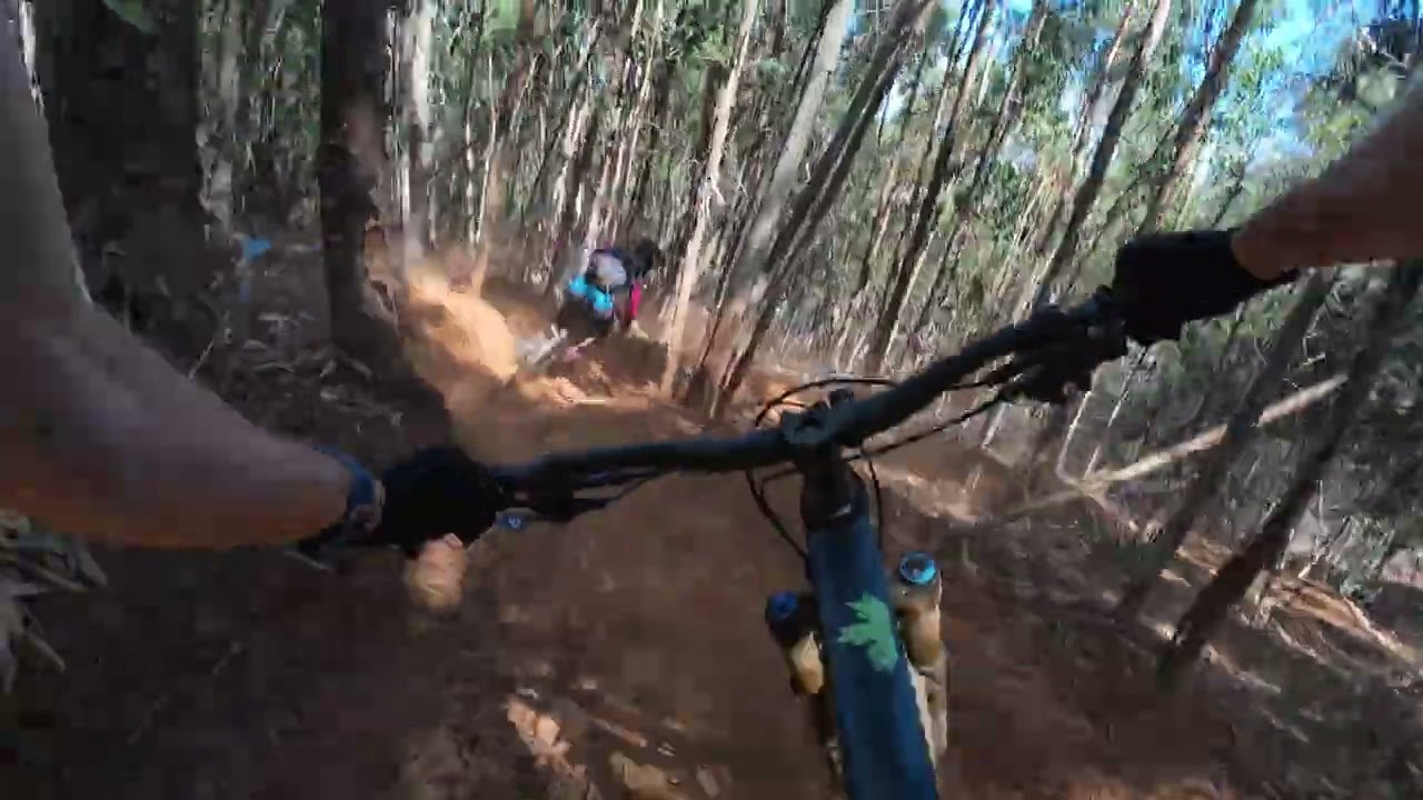 Madeira Eastside - Lagoa Trail & more